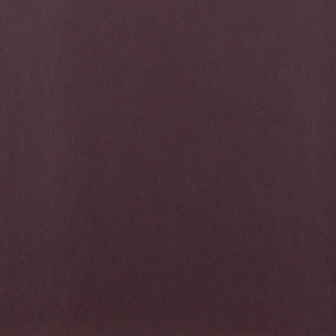 Ledger 011 Eggplant