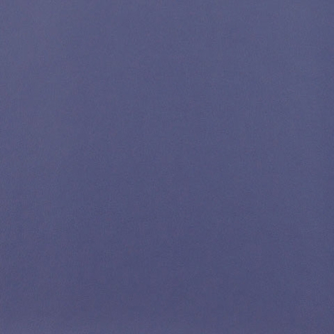 Ledger 013 Violet