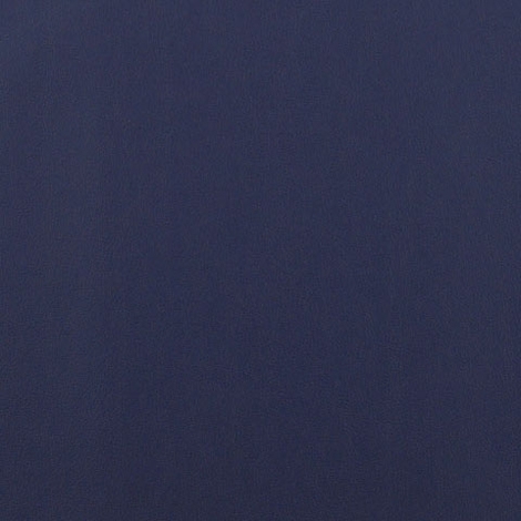 Ledger 014 Lapis