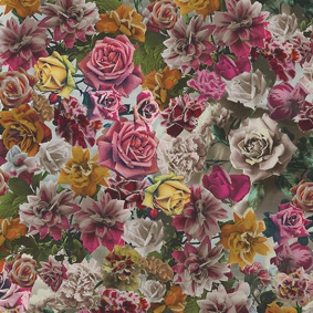 Produkt Hand Tinted Rose 001 Unique des Herstellers Maharam anzeigen