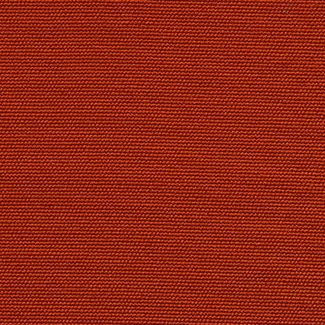 Medium 012 Pumpkin