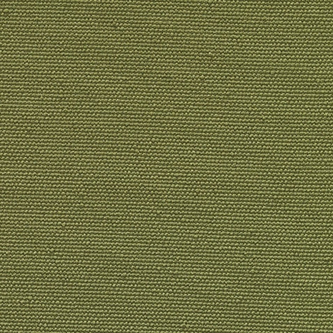 Medium 029 Pistachio
