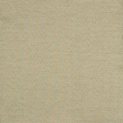 Parallel 003 Fog
