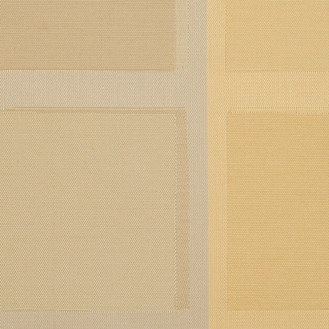Parcel 003 Goldenrod