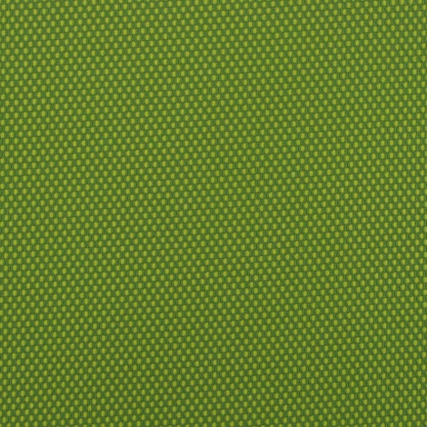 Peep 005 Grasshopper