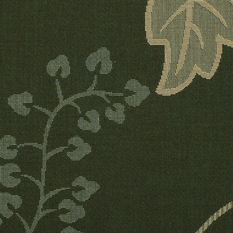 Plenty 3 002 Ivy