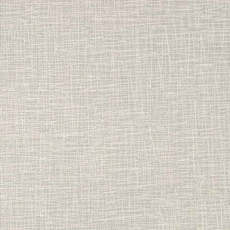 Pulse 012 Birch