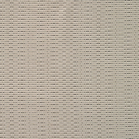 Reply 001 Canvas