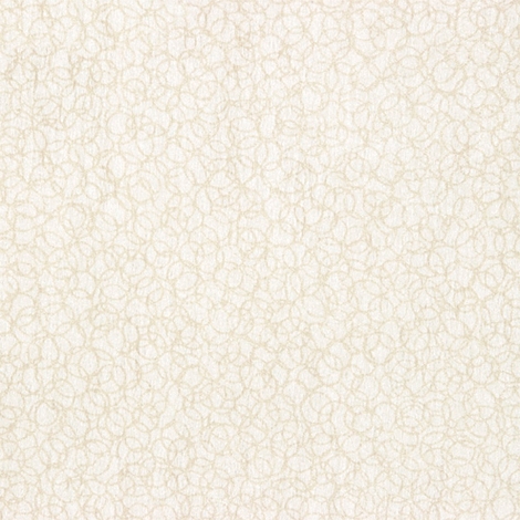 Ringlet 001 Oyster
