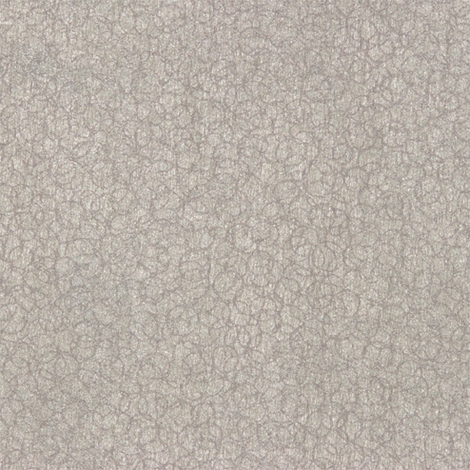 Ringlet 010 Zircon