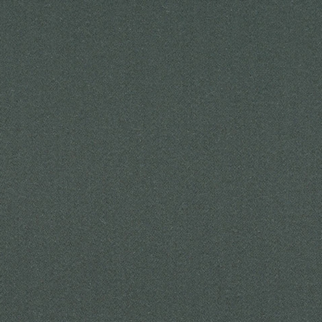 Salon 006 Shade