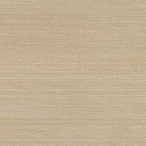 Sari 002 Shoal