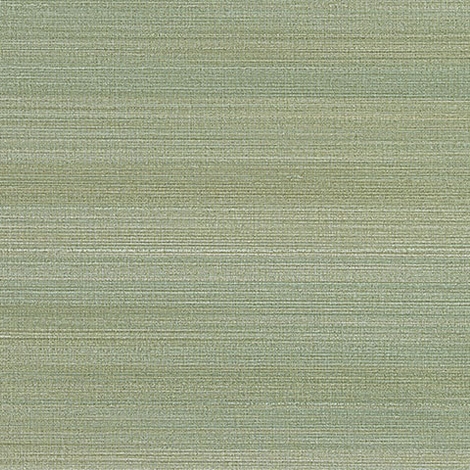 Sari 005 Aloe