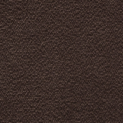 Scout Crypton 005 Coffee Bean