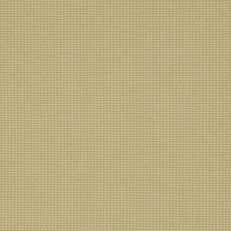 Start 111 Honeycomb 2