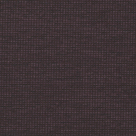 Steady Crypton 013 Cloak