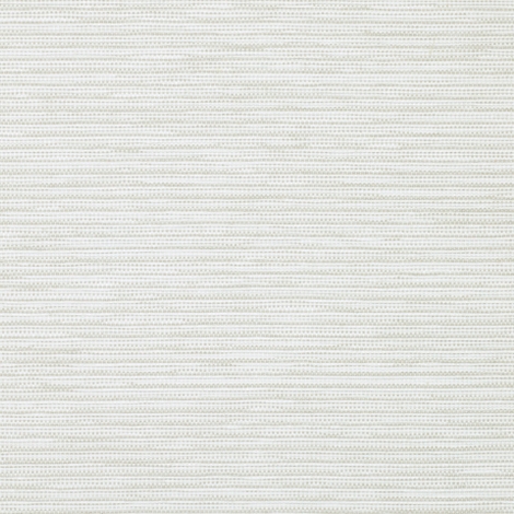 Switch 001 Icicle
