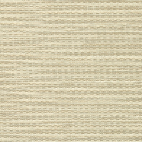 Switch 003 Husk