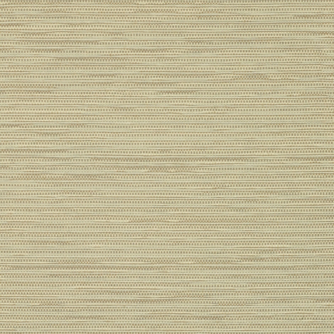 Switch 005 Strata