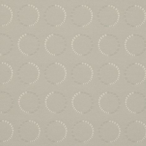 Timely 005 Circuit