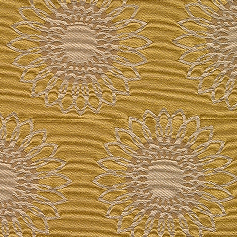 Tournesol 002 Burst