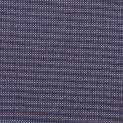 Trait 008 Delphinium