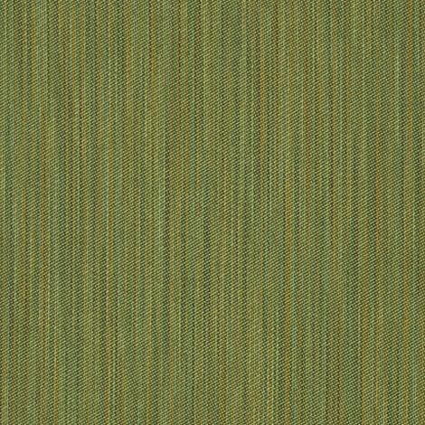 Vary 005 Parakeet