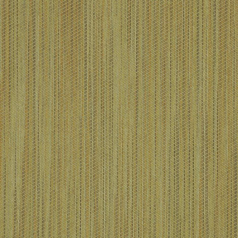Vary 006 Meadow