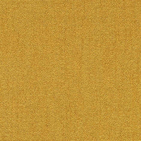 Voyage 005 Maize