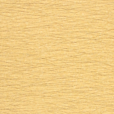 Whisk 004 Safari