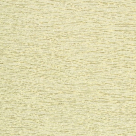 Whisk 006 Reed