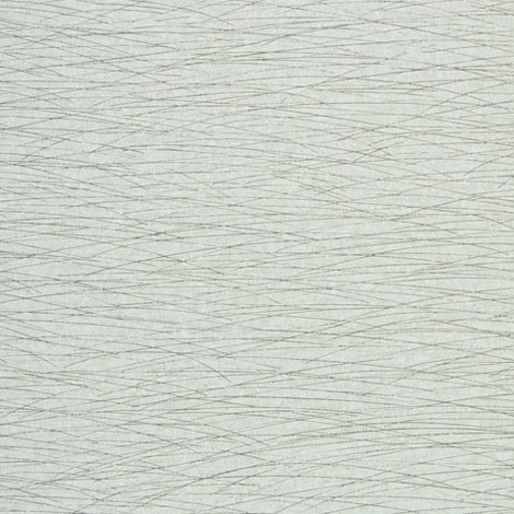 Whisk 011 Splash