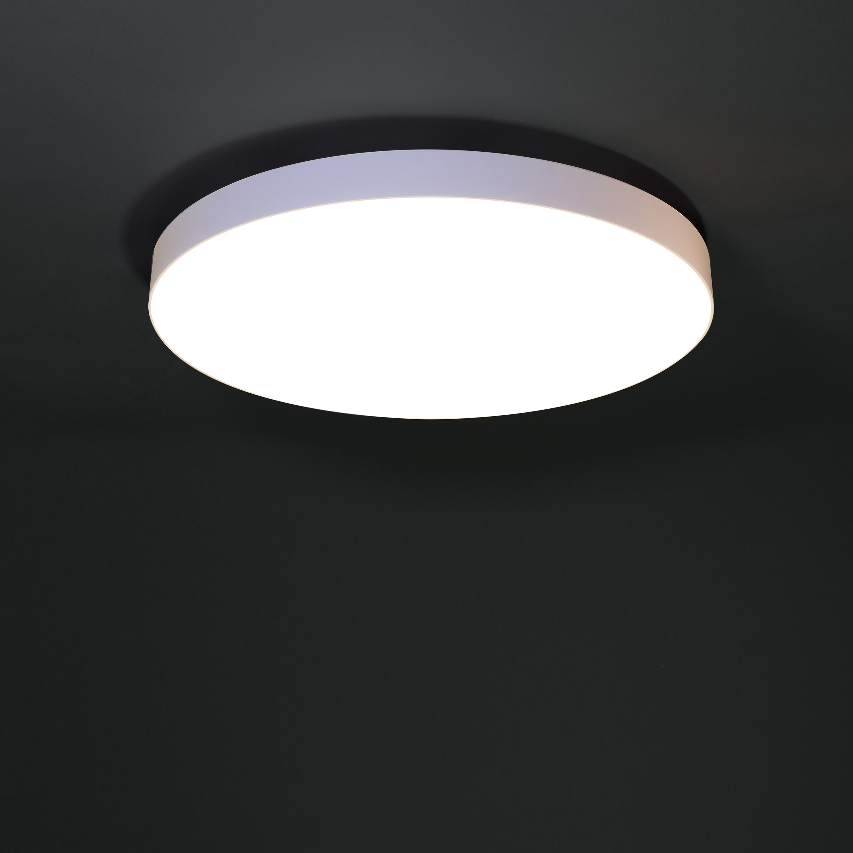 Display product bullauge 6 from manufacturer Mawa Design