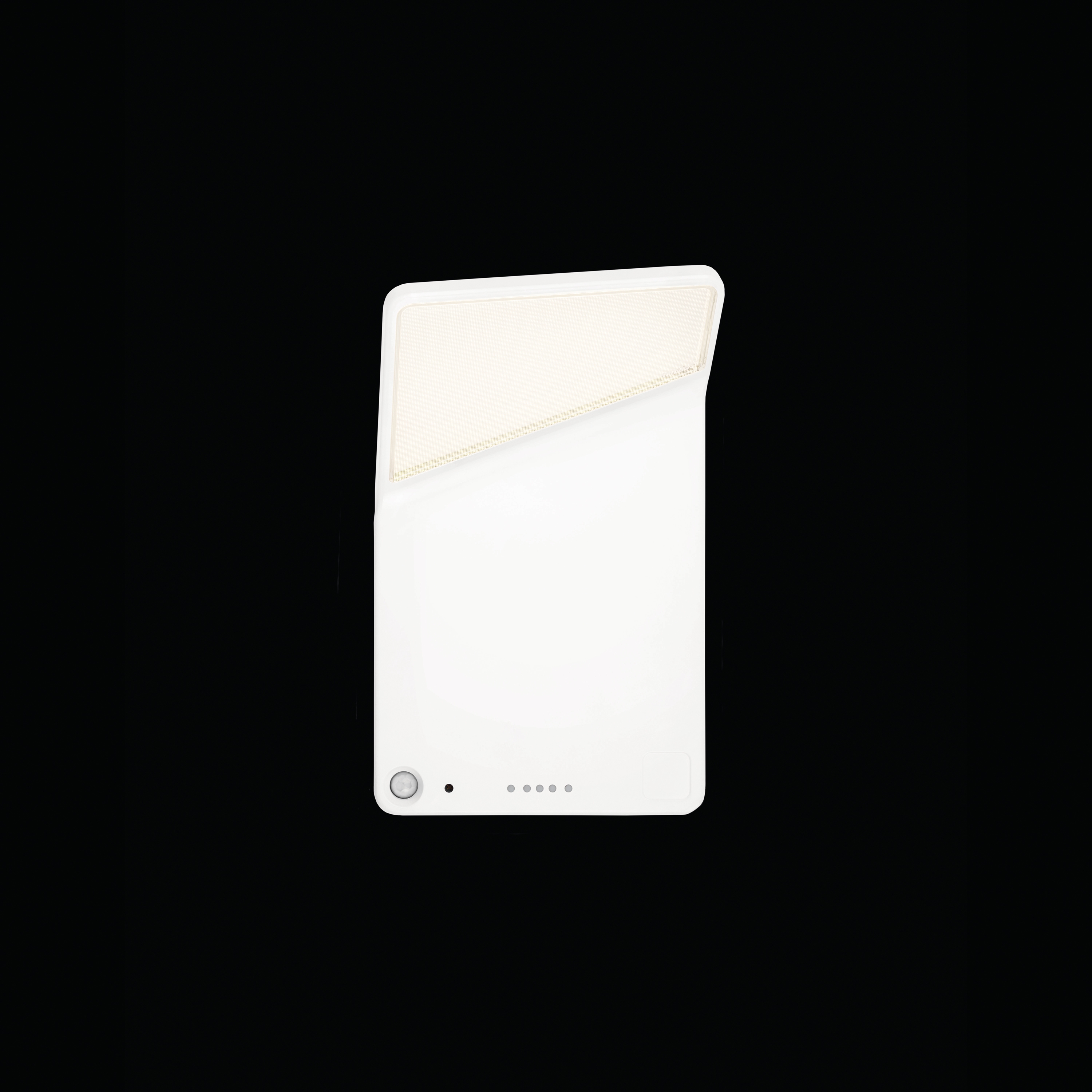 Winglet CL
