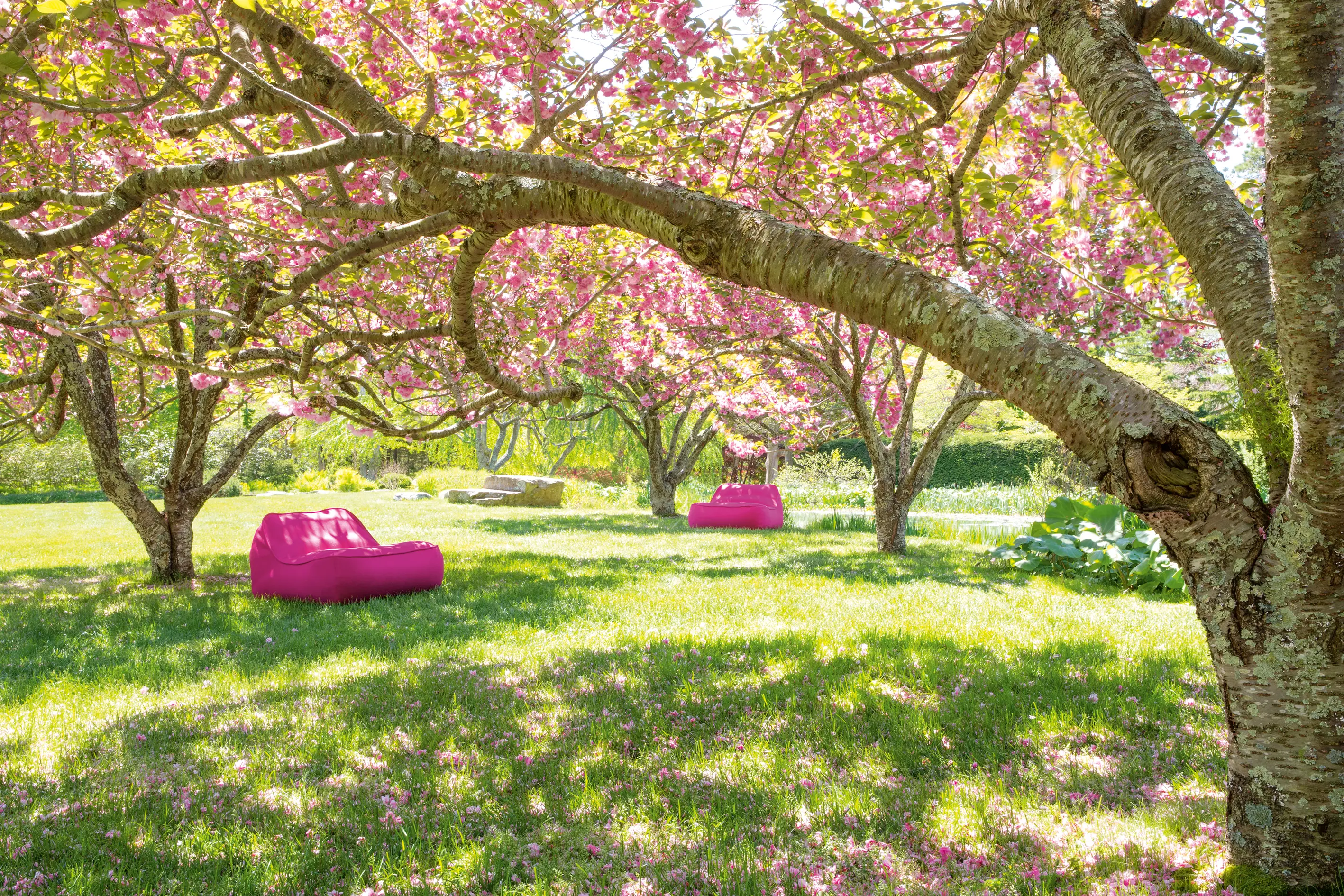 Paola Lenti - So