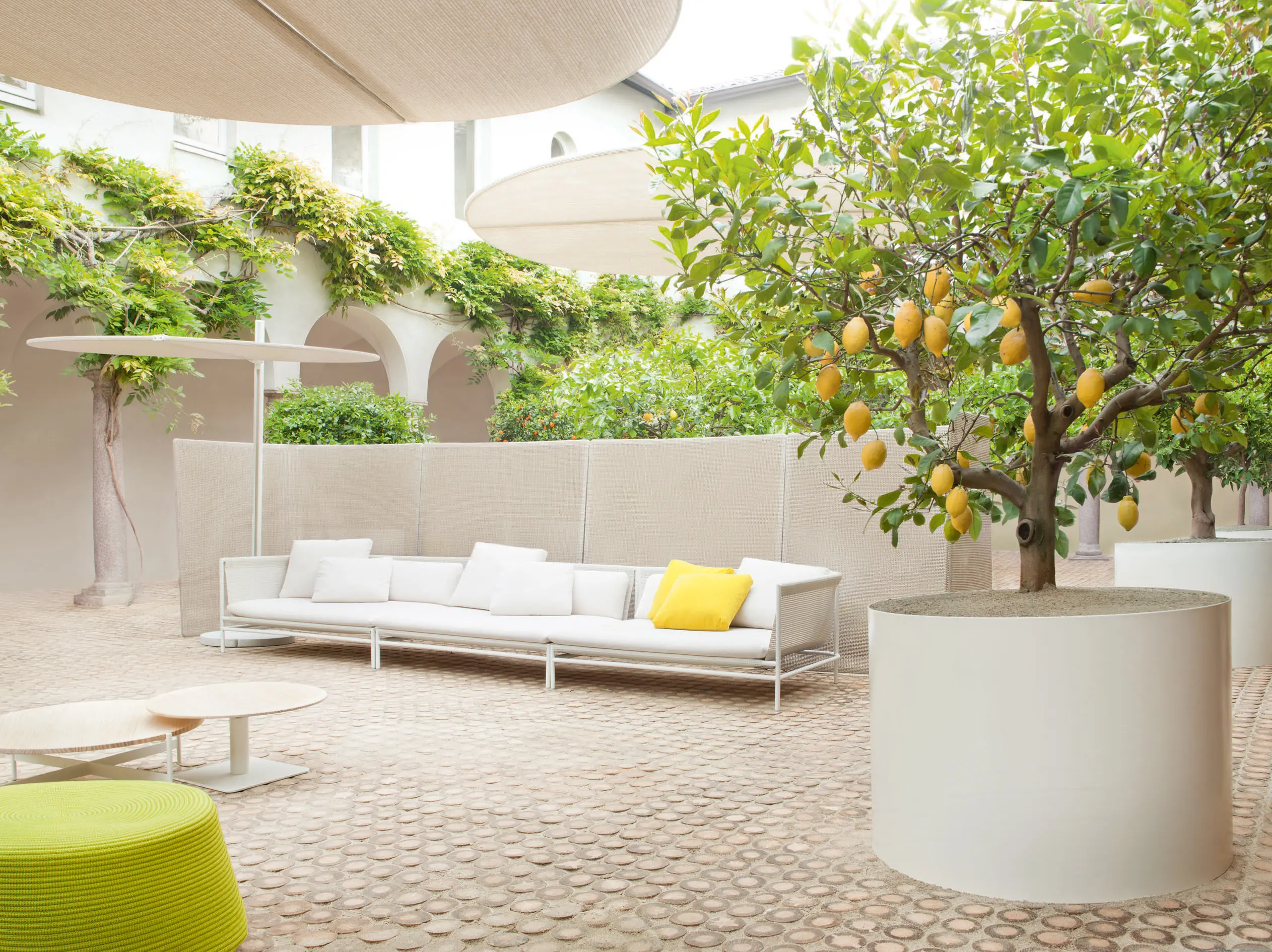 Paola Lenti - Canvas