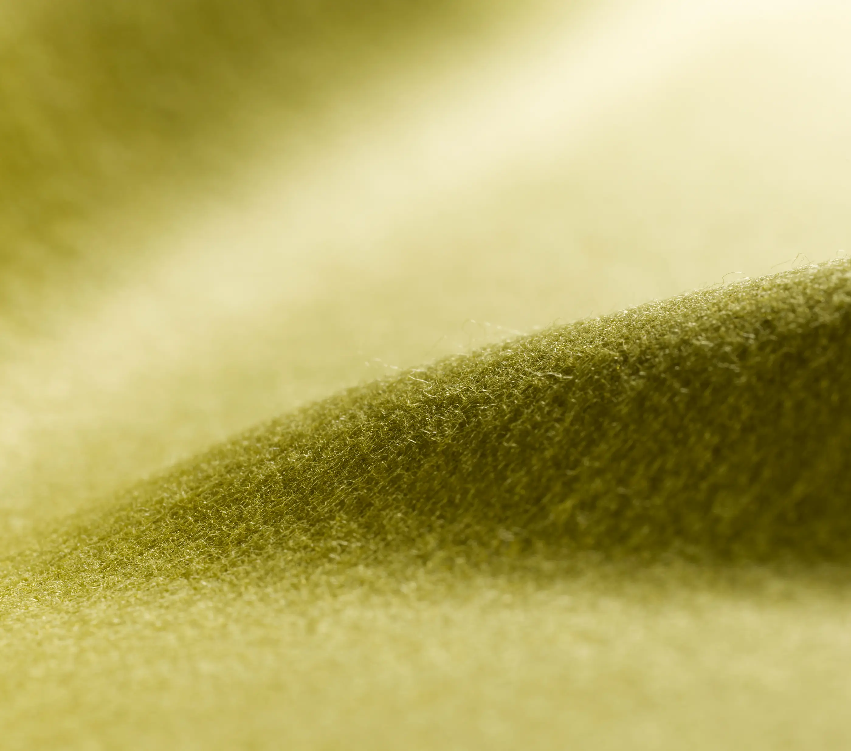 Carpet Concept - Lain 0029