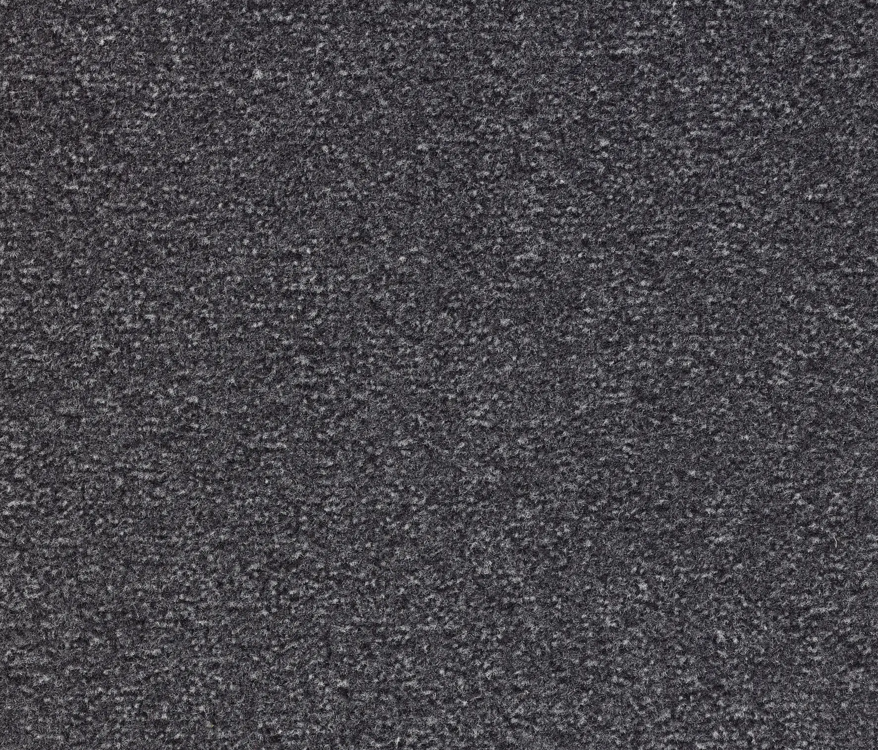 Carpet Concept - Concept 300