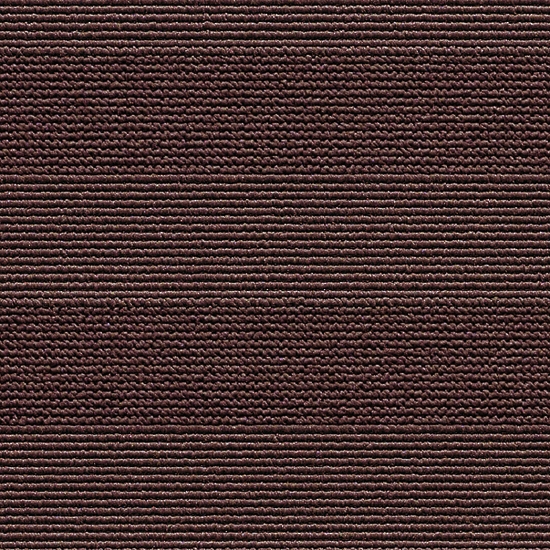 Sqr Basic Stripe Chocolate