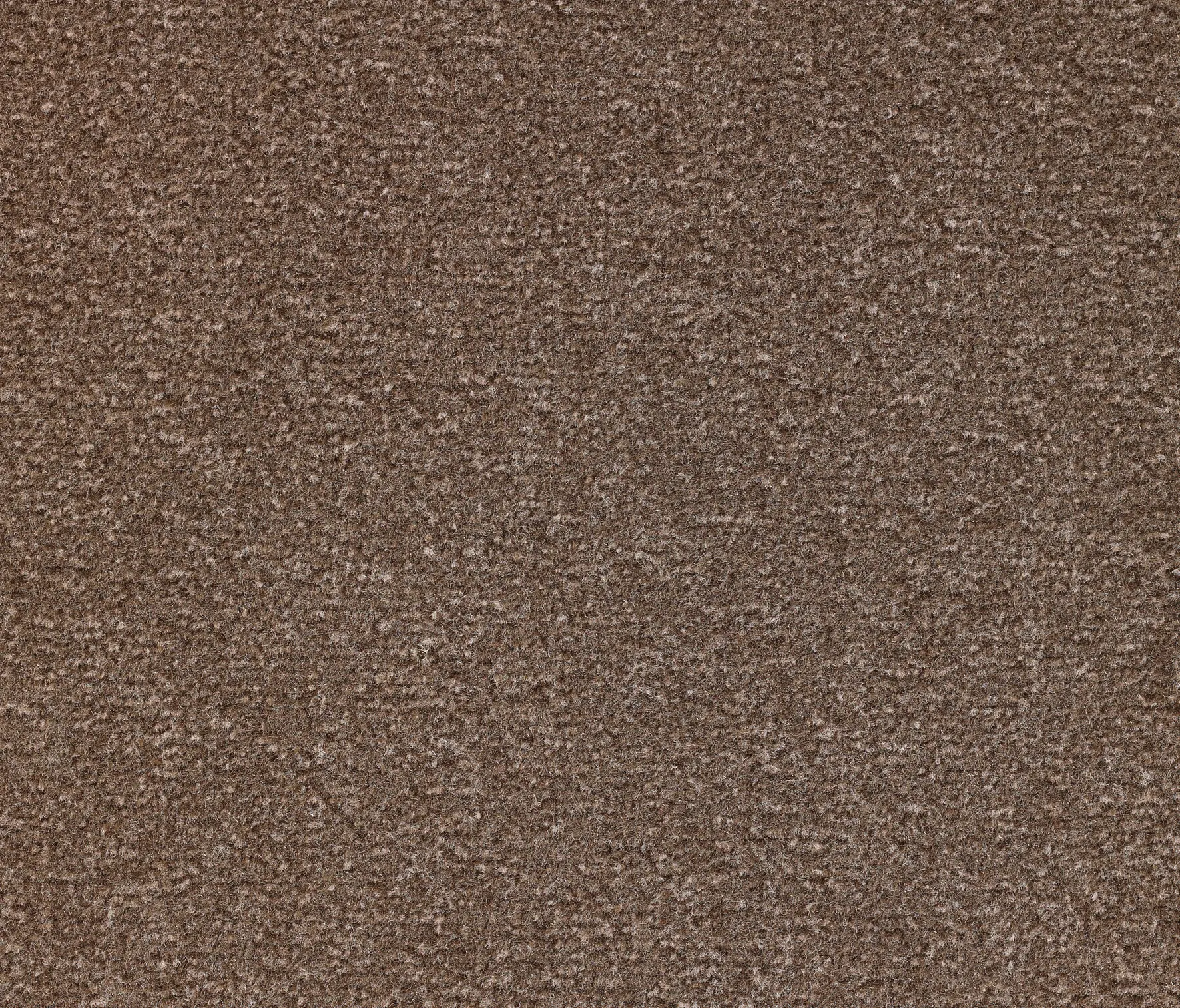 Carpet Concept - Concept 300