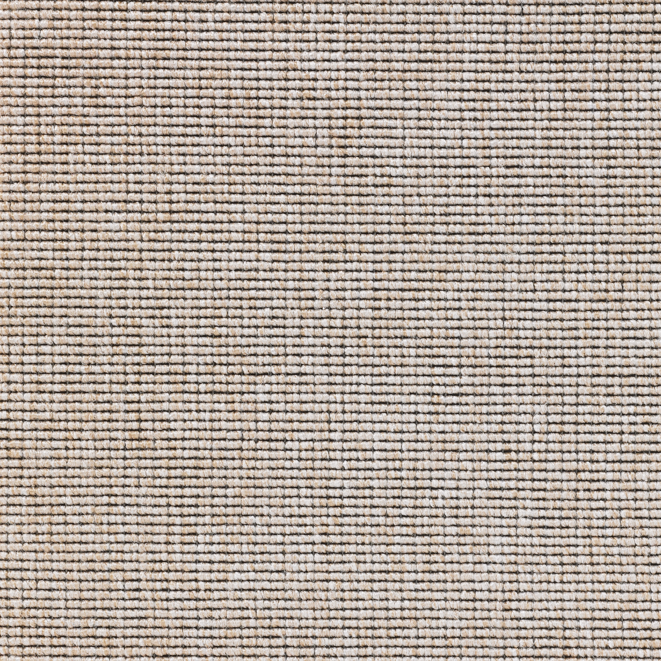 Eco 1 6651