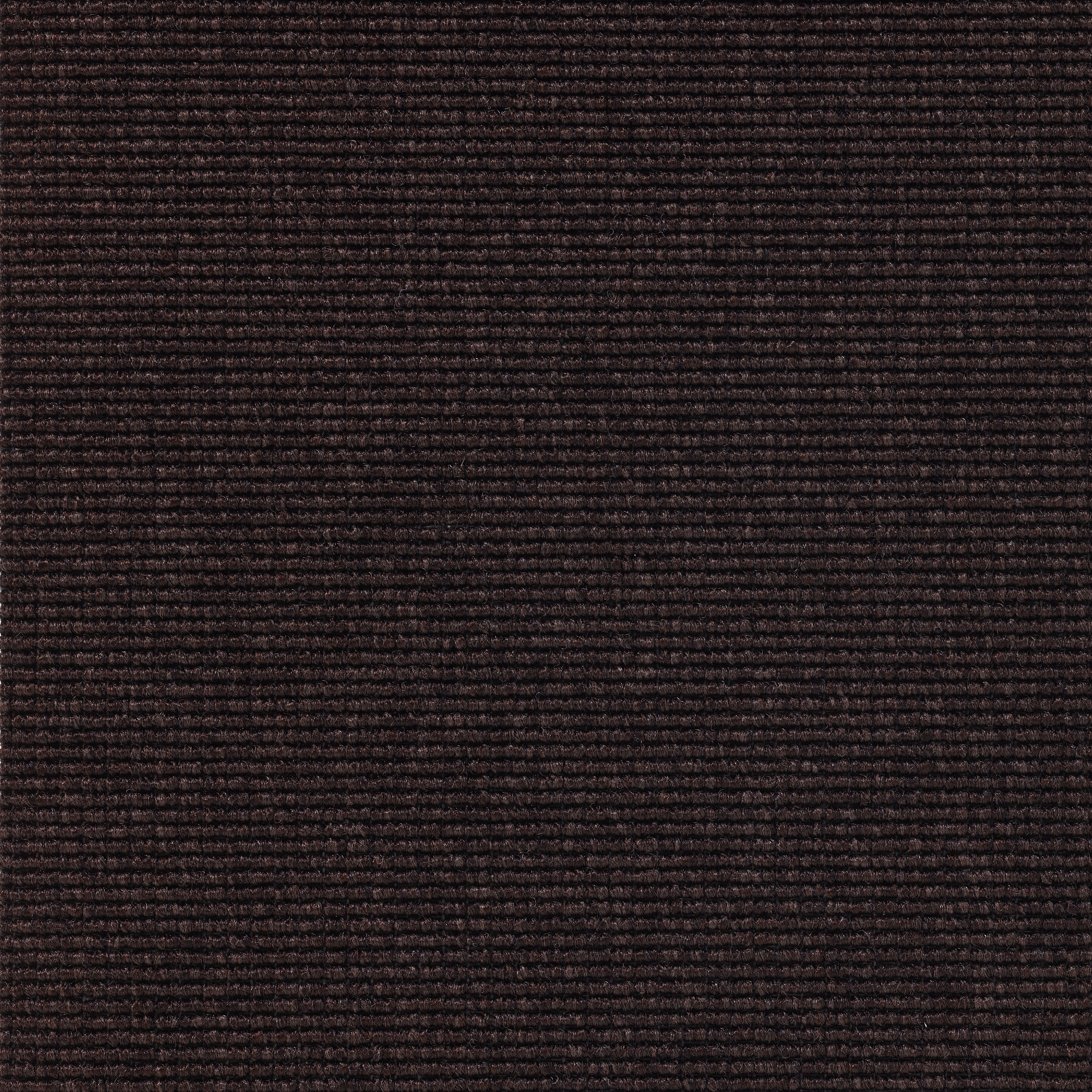 Eco 1 6629