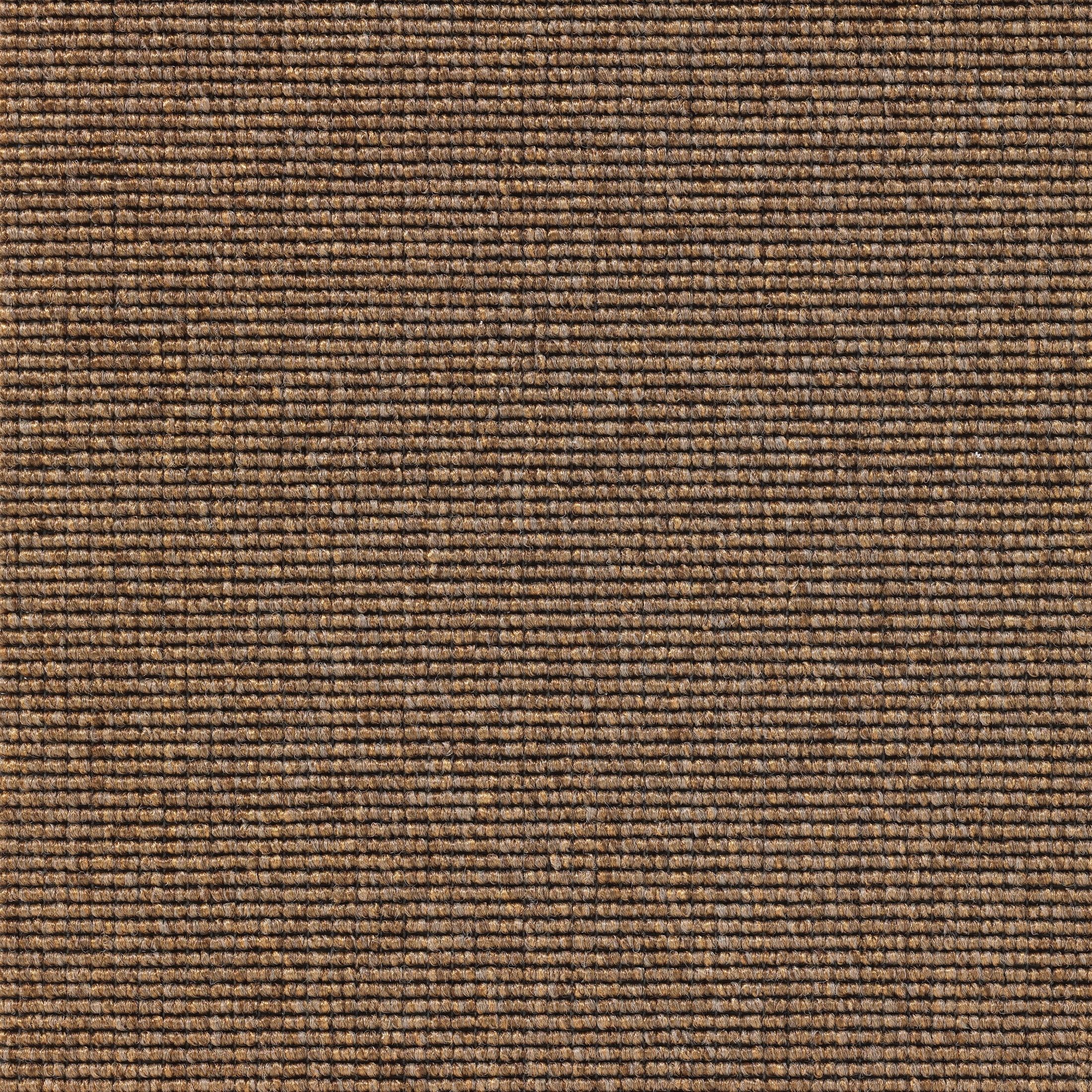 Eco 1 6605