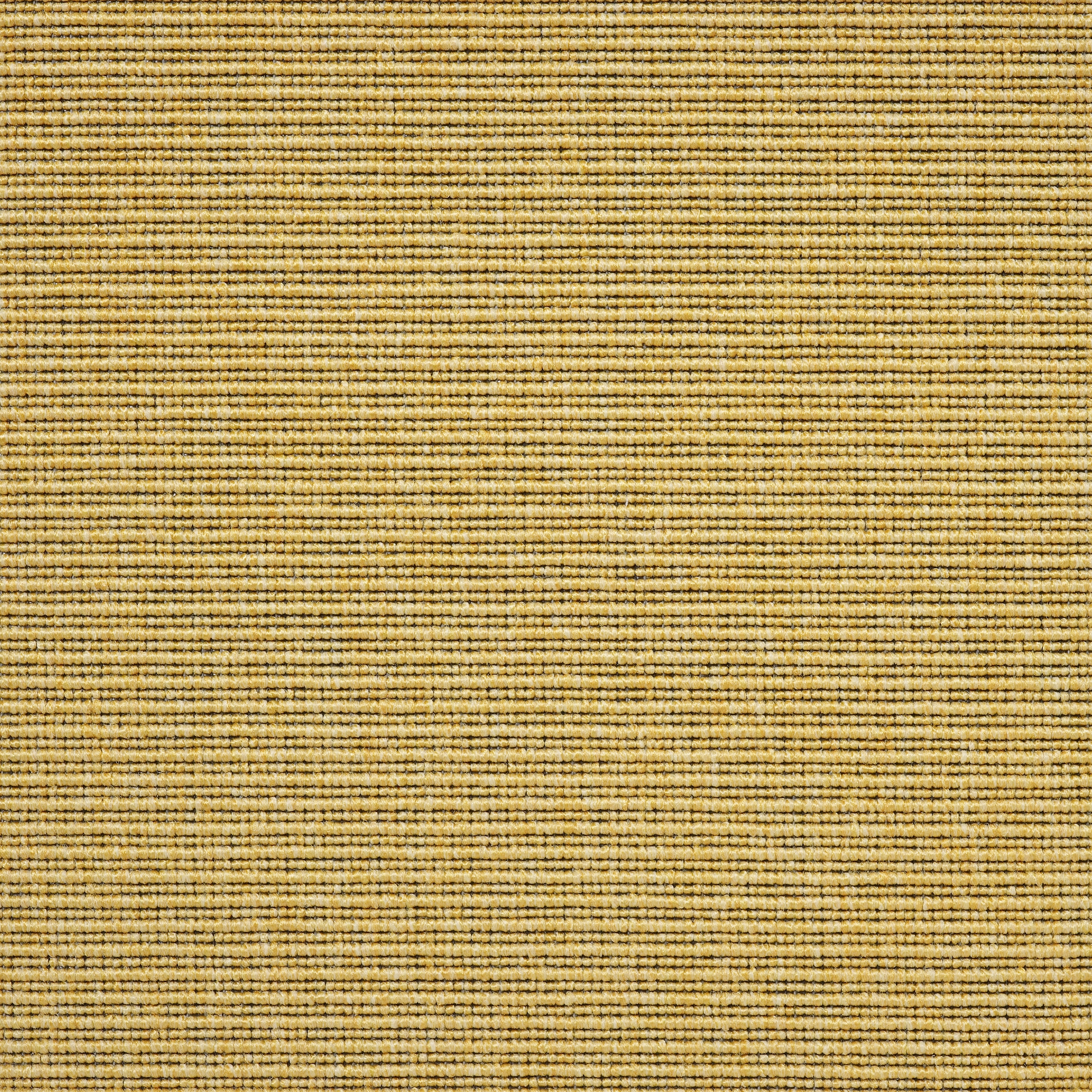 Eco 2 6721