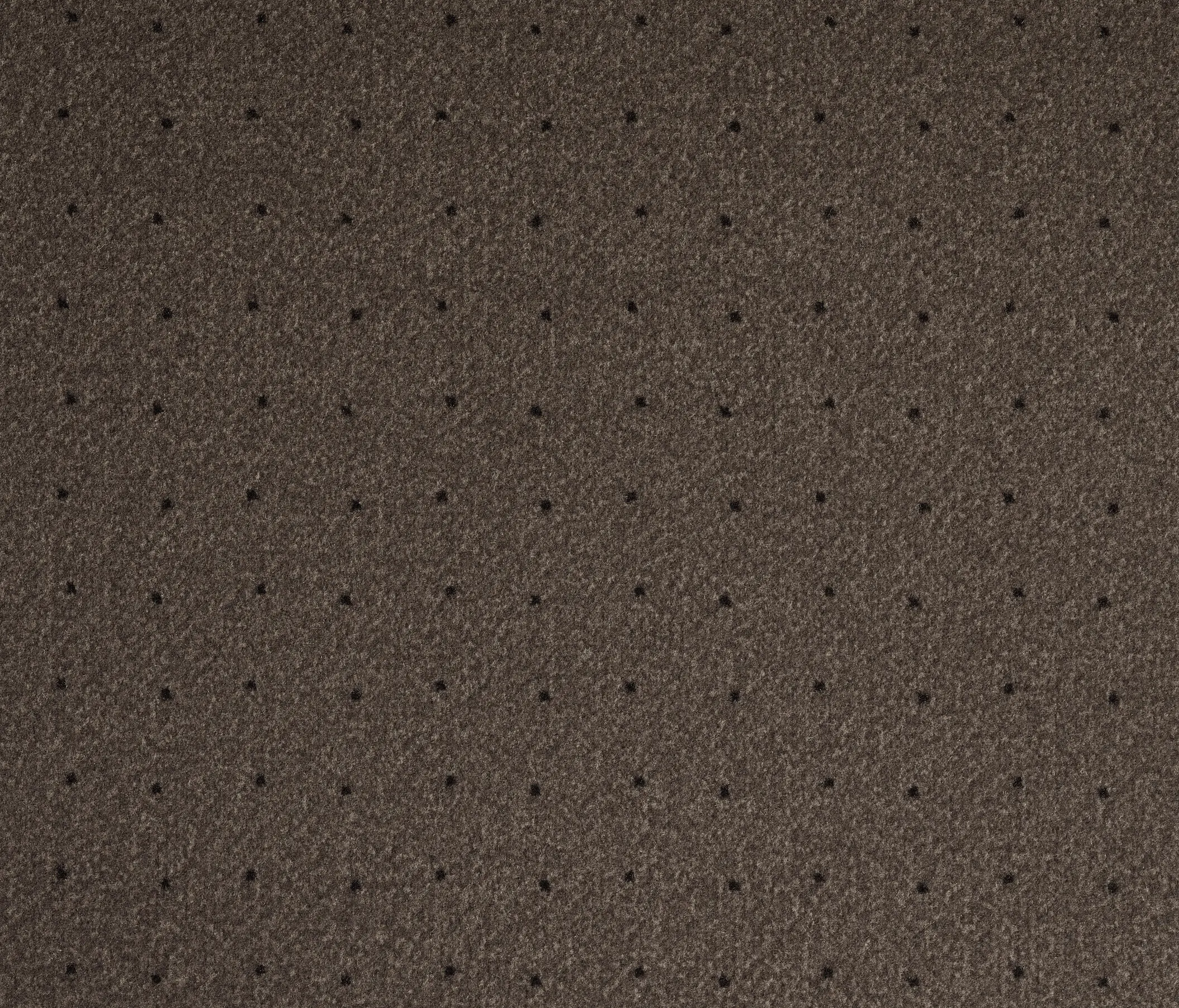 Carpet Concept - Bac 102 6829