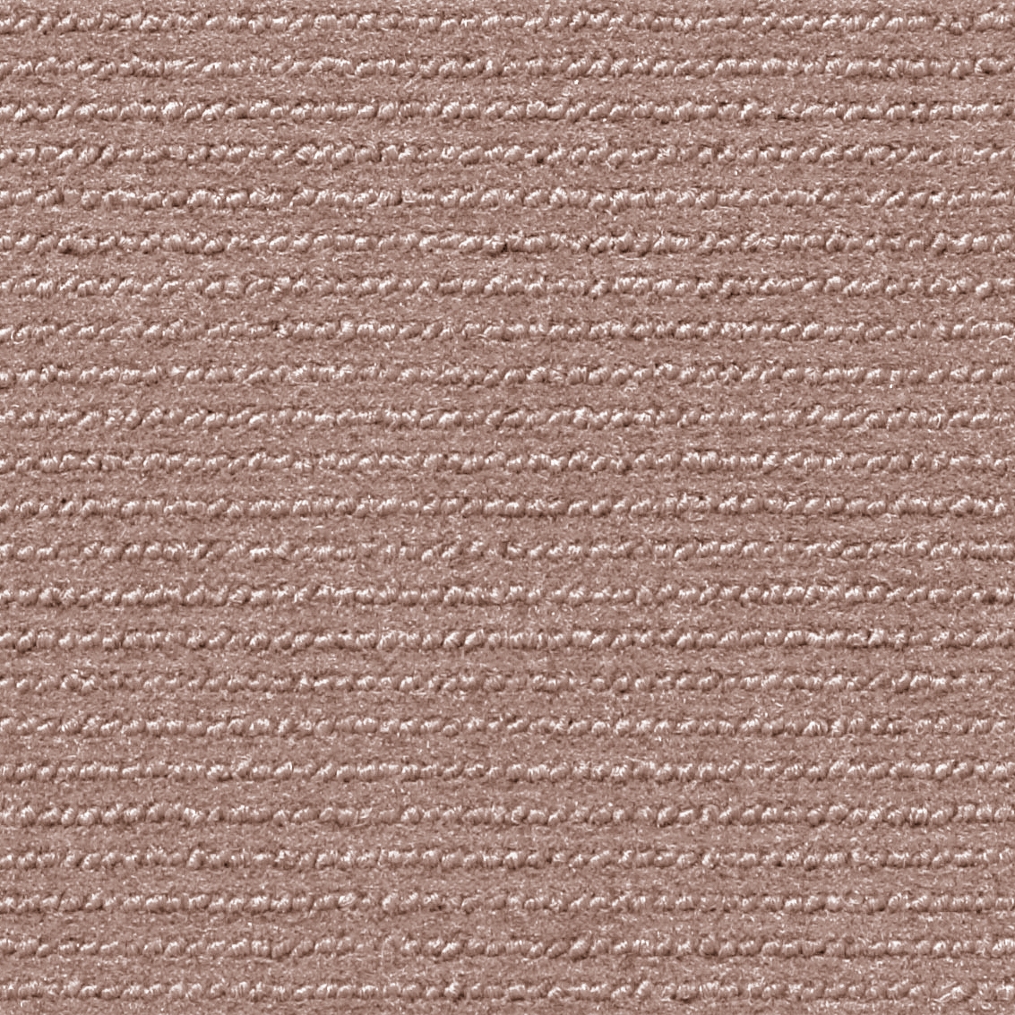 Isy F1 Copper