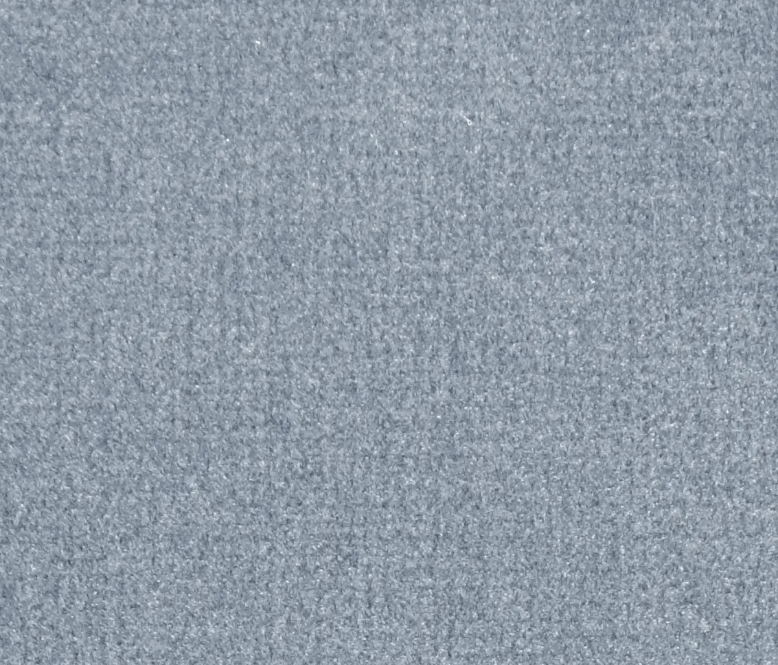 Carpet Concept - Isy V Dawn