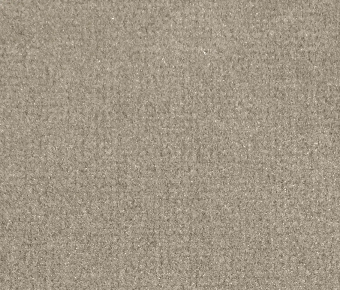 Carpet Concept - Isy V Dune
