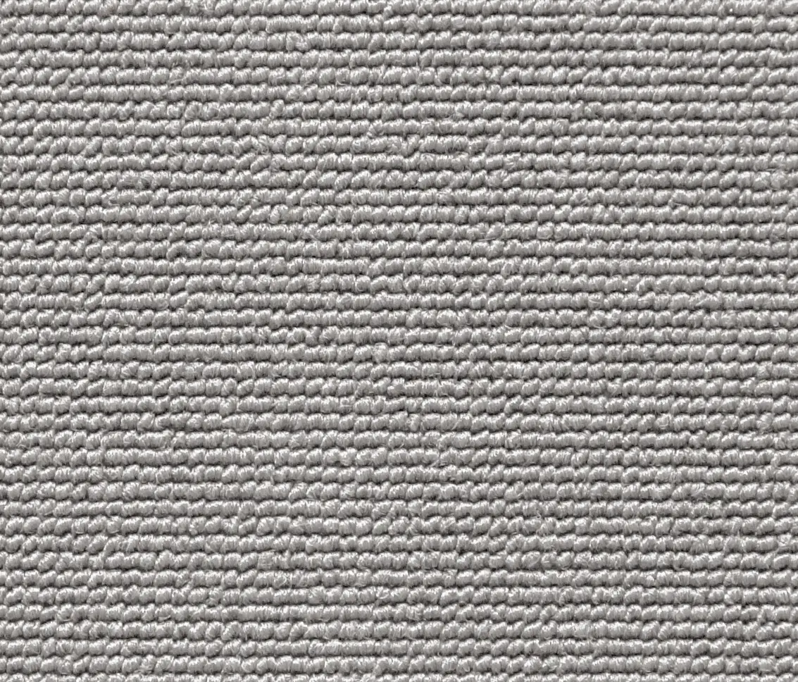 Carpet Concept - Isy R Dust