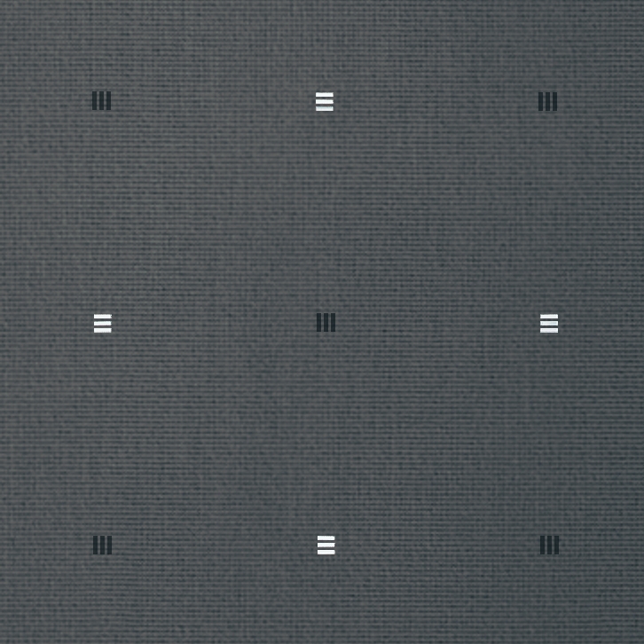 Lyn 21 Gunmetal